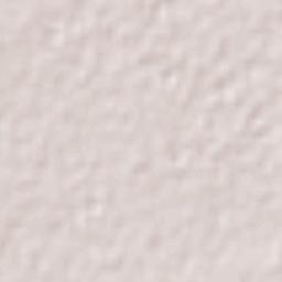 Tinogasta Terrain Map