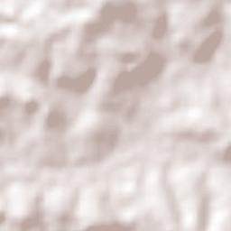 Ubiretama Terrain Map