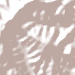 Scenic Rim Terrain Map