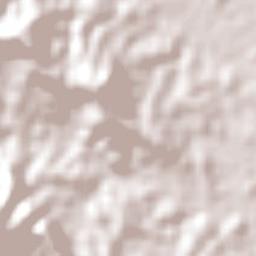 Worongary Terrain Map