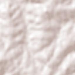 Salvador das Missões Terrain Map