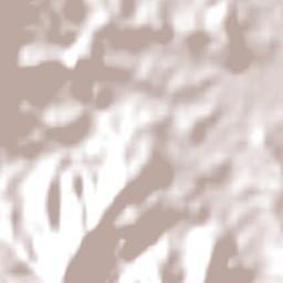 Mudgeeraba Terrain Map