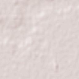 San Lorenzo Terrain Map