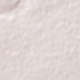 Warrenton Terrain Map