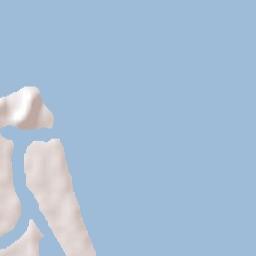 Tweed Heads Terrain Map