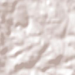 Ajuricaba Terrain Map