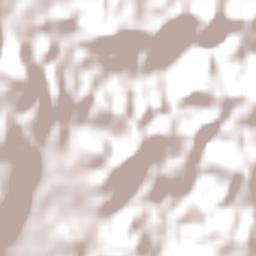 São José Terrain Map