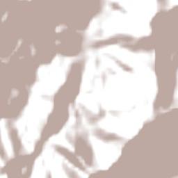 Tallebudgera Valley Terrain Map