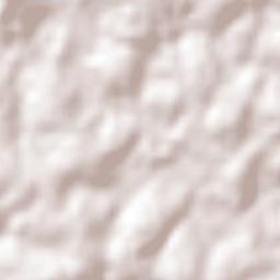 Passo Fundo Terrain Map