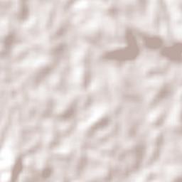 Caseiros Terrain Map