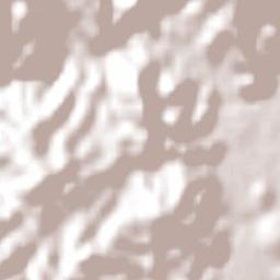 São Ludgero Terrain Map