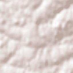 Coronel Barros Terrain Map