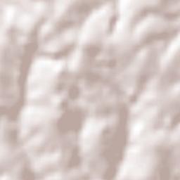 Santo Antônio do Planalto Terrain Map