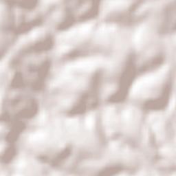 Ernestina Terrain Map