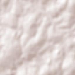 Entre-Ijuís Terrain Map