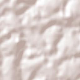 Não-Me-Toque Terrain Map