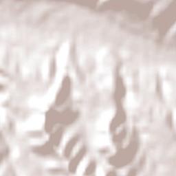 Freirina Terrain Map