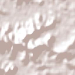 Ocean Shores Terrain Map