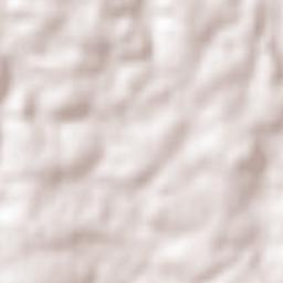 Eugênio de Castro Terrain Map