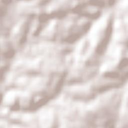 Augusto Pestana Terrain Map