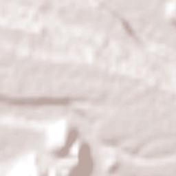 Vallenar Terrain Map