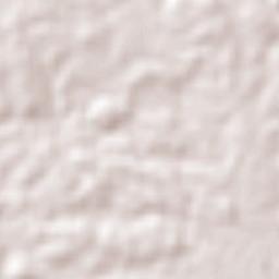 Bom Jesus Terrain Map