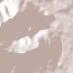 Morro Grande Terrain Map