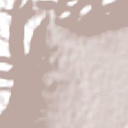 Vinchina Terrain Map