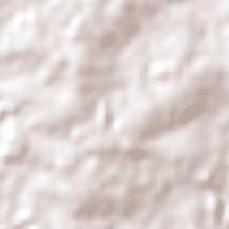 Alto Alegre Terrain Map