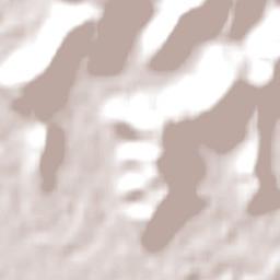 Lismore Municipality Terrain Map