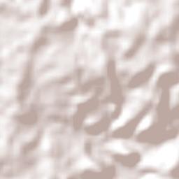 Campos Borges Terrain Map