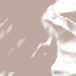 Alto del Carmen Terrain Map