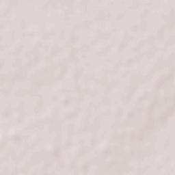 Chavarría Terrain Map