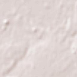 Araranguá Terrain Map