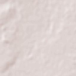 Santa Lucía Terrain Map