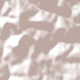 Anta Gorda Terrain Map