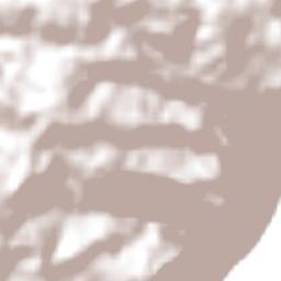 Nova Roma do Sul Terrain Map