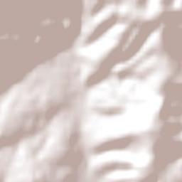 Greytown Terrain Map