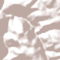 Pinto Bandeira Terrain Map