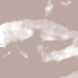 Praia Grande Terrain Map