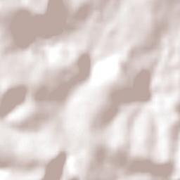 Ladybrand Terrain Map