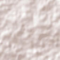 Júlio de Castilhos Terrain Map