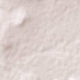 Botshabelo Terrain Map