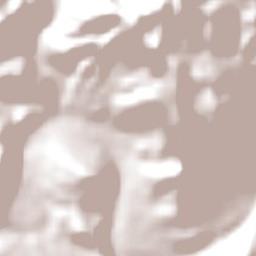 iLembe District Municipality Terrain Map