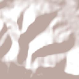 Forquetinha Terrain Map