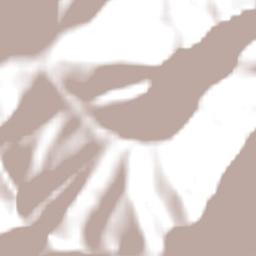 Três Forquilhas Terrain Map