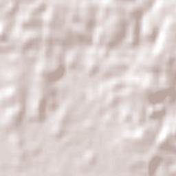 Lawrence Terrain Map