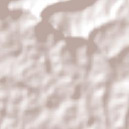 Mato Leitão Terrain Map