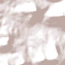 Presidente Lucena Terrain Map