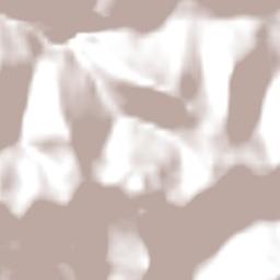 Morro Reuter Terrain Map